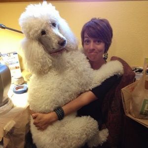 Meet your Posher, Cheryl